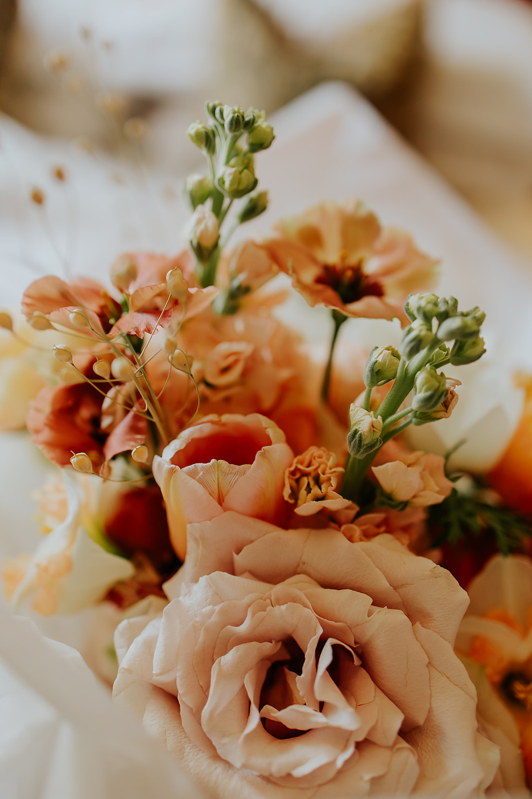 NCGosfordHouseHoteWeddingPhotography00005