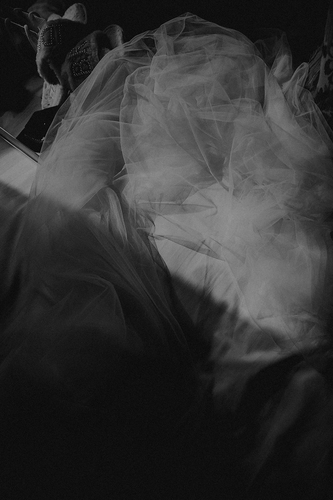 NCGosfordHouseHoteWeddingPhotography00021